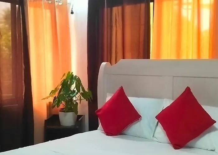 Pacifico's Hostel